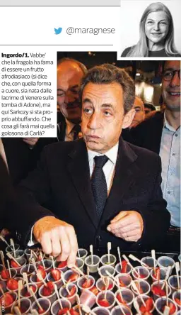  ??  ?? Ingordo/1. Vabbe’ che la fragola ha fama di essere un frutto afrodiasia­co (si dice che, con quella forma a cuore, sia nata dalle lacrime di Venere sulla tomba di Adone), ma qui Sarkozy si sta proprio abbuffando. Che cosa gli farà mai quella golosona di...