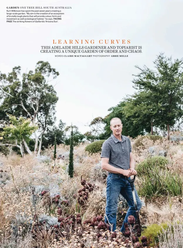  ?? PHOTOGRAPH­Y ABBIE MELLE ?? GARDEN ONE TREE HILL SOUTH AUSTRALIA Kurt Wilkinson has spent the past seven years creating a large-scale garden. “My aim is the creation of an ecosystem of brutally tough plants that will provide colour, form and movement as well as biological habitat,” he says.