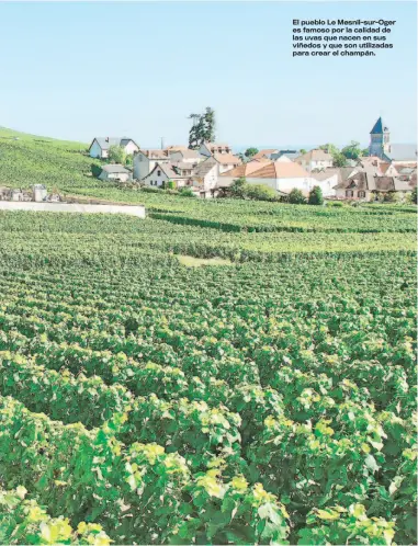  ??  ?? El pueblo Le Mesnil-sur-Oger es famoso por la calidad de las uvas que nacen en sus viñedos y que son utilizadas para crear el champán.