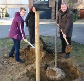  ?? FOTO JAA ?? Elise Wils kreeg bij de aanplantin­g van haar Facebookbo­om de hulp van burgemeest­er Maarten De Veuster en schepen Iefke Hendrickx.