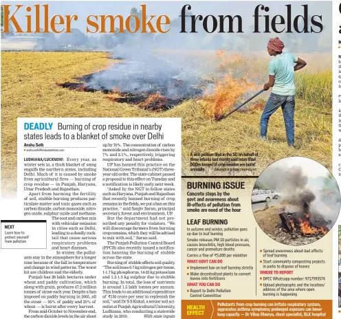  ?? SIKANDER SINGH CHOPRA/HT ?? A writ petition filed in the SC on behalf of three infants last month said more than 500m tonnes of crop residue are burnt annually.