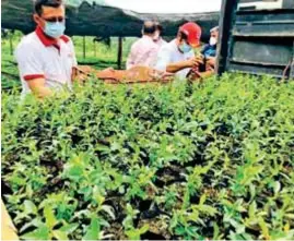  ??  ?? ENTREGA. Prefectura entregó plantas para reforestac­ión en Olmedo.