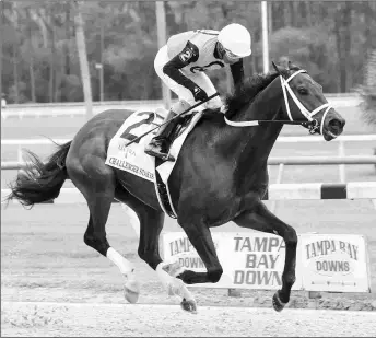  ?? SV PHOTOGRAPH­Y ?? Last Judgment goes wire to wire in the Grade 3 Challenger at Tampa on March 6. War Stopper was third, beaten four lengths.