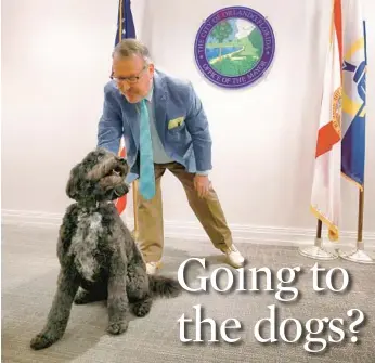  ?? JOE BURBANK/ORLANDO SENTINEL ?? The city of Orlando’s celebrity “First Dog” Sammie gets a pet at the office of Mayor Buddy Dyer at Orlando City Hall on Tuesday. Sammie is a 12-year-old labradoodl­e and is the mayor’s longtime K-9 assistant and family pet, first introduced to Central Floridians as a puppy in 2012.