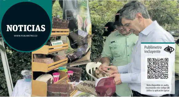  ?? |ESPERANZA ARIAS-PUBLIMETRO ?? En la granja Santa Elena, ubicada en el municipio de Arauquita, siembran el mejor cacao del mundo.