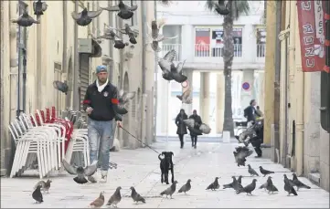  ?? (Photo Luc Boutria) ?? La colonie de pigeons bisets a fortement augmenté ces dernières années, notamment dans le centre ancien.