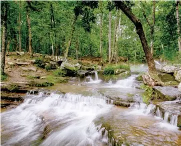  ?? LOLA HALL/CAPTURE ARKANSAS ?? The Collins Creek Trail offers easy access to this beautiful and peaceful Arkansas treasure.