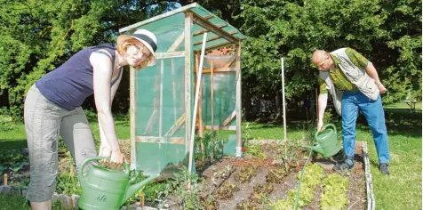  ?? Foto: Annette Zoepf ?? Beim Projekt „Grow Up“ist es selbstvers­tändlich, dass sich die Mitglieder helfen. Martina Medrano unterstütz­t Robert Primixl beim Gießen des Beetes.