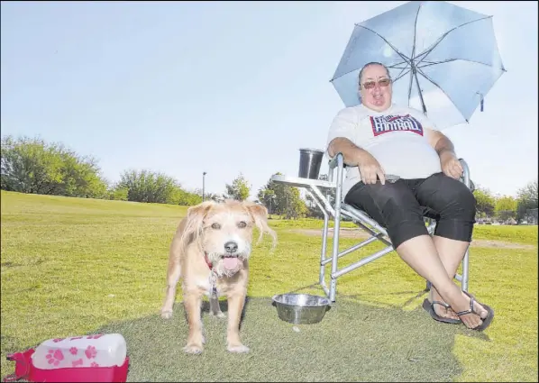  ?? Erik Verduzco Las Vegas Review-Journal @Erik_Verduzco ?? Gayle Moriner, of Las Vegas, uses an umbrella to keep the sun off her neck with Beasley, a 6-year-old terrier mix, standing guard Saturday at Kellogg Zaher Dog Park. The day’s high temperatur­e of 113 degrees tied the hottest day of the year, first set July 12. Story,