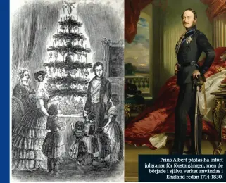  ??  ?? Prins Albert påstås ha infört julgranar för första gången, men de började i själva verket användas i England redan 1714–1830.