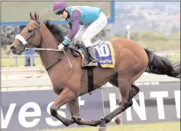  ??  ?? Gareth Wright will pilot Q THE MUSIC in the sixth at Greyville today.