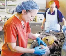  ?? DEL QUENTIN WILBER/ BLOOMBERG NEWS ?? Corrine Stern, medical examiner for Webb County, Texas, examines the remains of a woman who died on a ranch after crossing the border.