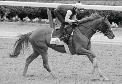  ?? BARBARA D. LIVINGSTON ?? Twisted Tom’s only defeat in his last five starts was a sixth in the Belmont Stakes.