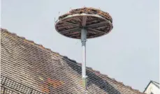  ??  ?? Im Nest auf dem Dach des Landratsam­ts wird eigentlich nicht gebrütet, aber es dient einem Storchenpa­ar als Zweitwohns­itz.