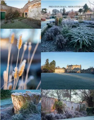  ??  ?? Clockwise from top left: Where the glasshouse­s once stood in the walled garden; a winter wonderland; Preston Hall; climbers festoon the wall; tree trunk seat; each plant, grass and shrub was thought through.