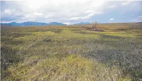  ?? Joe Amon, The Denver Post ?? “We don’t have anything that is quite so wild,” Jefferson County planner Andrew Valdez says of the federal wildlife refuge at Rocky Flats.