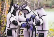  ?? Elaine Thompson / AFP via Getty Images ?? Scientists in protective gear seal a canister holding Asian giant hornets Saturday in Blaine, Wash.