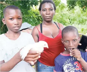  ??  ?? Conroy Shakespear­e shows off one of his chickens at his home in Gutters. His mother, Simone Spence, and brother, Leroy, look on. He has since received 100 chickens from Hi-Pro.