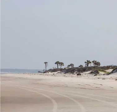  ??  ?? Georgia’s Cumberland Island offers wide, empty beaches for the traveler seeking relaxation. It’s a stretch of land about 4 miles longer than Manhattan that sits just off the southern curve of Georgia’s 100-mile coastline.