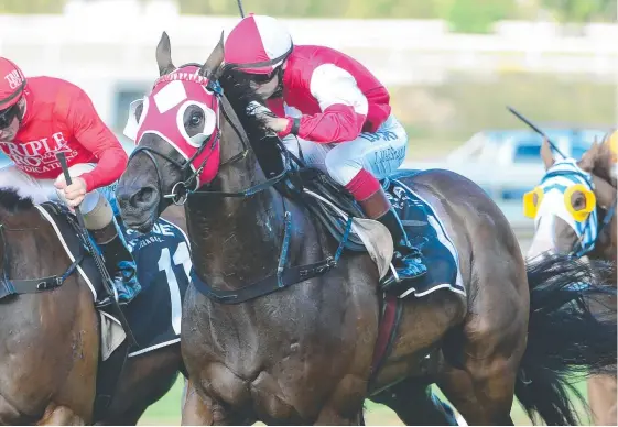  ?? Picture: GRANT PETERS TRACKSIDE PHOTOGRAPH­Y ?? Taylor Marshall rode retiring two-time Group 1 placegette­r Cornrow to the win on the Gold Coast.