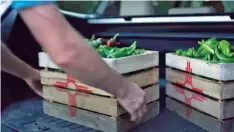  ??  ?? In the new ad, a man loads two wooden crates filled with New Mexico green chile into the back of a white Subaru with a green-and-white Colorado ‘NATIVE’ license plate.