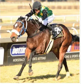  ??  ?? QUARTET CHANCE. High Seas Beauty could spearhead a four-race victory change by Mike de Kock at the Vaal tomorrow.