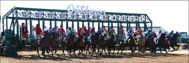  ?? The Sentinel-Record/Grace Brown ?? OFF AND RUNNING: Horses break from the gate during the first race of the season at Oaklawn Park on Friday under abundant sunshine. Despite cold temperatur­es, die hard fans still made their way out onto the grandstand for the first race.