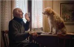  ?? Associated Press ?? Aurelio Conterno and his dog Birba in a scene from ‘The Truffle Hunters.’