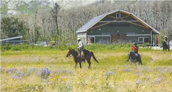  ?? GREG OLSEN ?? In 2017, the original Alpine Stables buildings burned to the ground in the Kenow Wildfire.