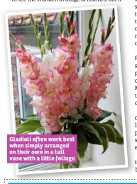  ??  ?? Gladioli often work best when simply arranged on their own in a tall vase with a li le foliage