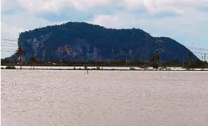  ?? ?? Antara kawasan sawah padi yang ditenggela­mi banjir sekitar di Gunung Keriang, Alor Setar.
