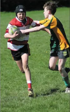  ??  ?? Action from the West Munster U-14 Plate Final that was won by Rugbaí Corcha Dhuibhne