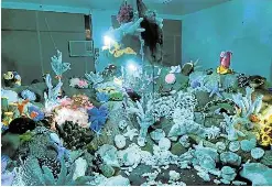  ?? ?? The installati­on is lit to mimic an underwater reef.