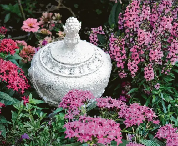  ?? Dylan Aguilar / Contributo­r ?? Pentas and angelonia bloom in a Bellaire garden.