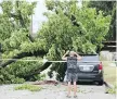  ?? DAN JANISSE/FILES ?? Chris Ould snaps a photo of a downed tree on Arthur Road on Aug. 6 after a storm ripped through Windsor.