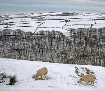  ??  ?? Let it snow: Crimsworth Dean, West Yorkshire, where Horatio Clare braves the harsh winters