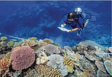  ?? Associated Press ?? Scientist Andrew Baird surveys healthy reefs between Mackay and Townsville on Australia’s Great Barrier Reef. A study of Australia’s Great Barrier Reef shows that reducing pollution and curbing overfishin­g won’t prevent the severe bleaching that is...