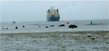  ??  ?? Ile-de-Re cable ship landing the cable in Savusavu last Saturday, November 16, 2017