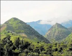  ??  ?? Las montañas del lugar le dan un aspecto selvático. Los paisajes son uno de sus atractivos.