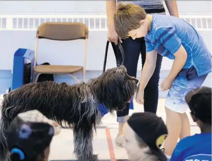  ?? PHOTOS: ALLEN McINNIS ?? Even if a dog seems playful, Zoothérapi­e Québec educator Ann-Marie Villeneuve recommends approachin­g the animal from the front and offering it a hand to smell first. In about half the cases of children who are bitten, it is by a dog they know, says expert Régine Hétu.