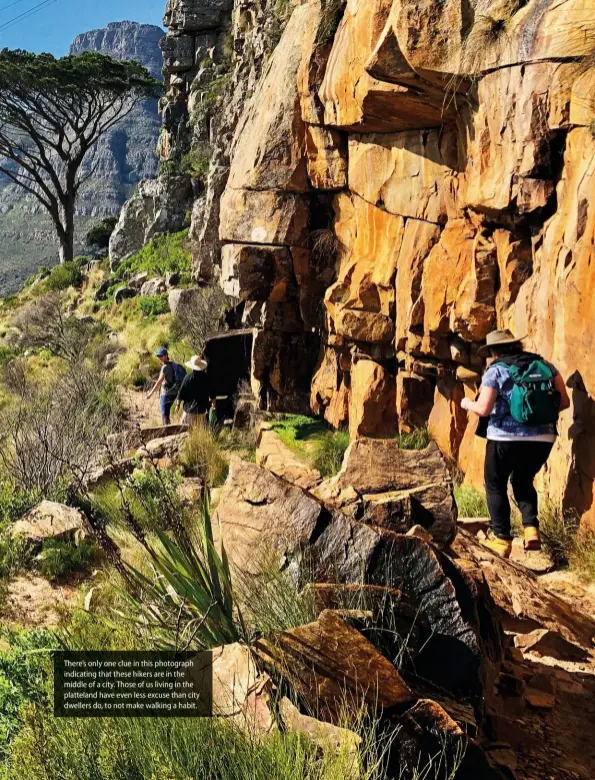  ??  ?? There’s only one clue in this photograph indicating that these hikers are in the middle of a city. Those of us living in the platteland have even less excuse than city dwellers do, to not make walking a habit.