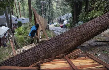  ?? KARL MONDON — STAFF PHOTOGRAPH­ER ?? A Boulder Creek resident surveys the damage caused by a fallen Douglas fir on Bobcat Lane on Wednesday after it fell in Tuesday night's windstorm and critically injured a 2-year-old child inside a home.