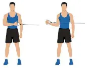  ?? SHUTTERSTO­CK ?? How to perform external rotation.