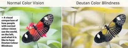  ??  ?? > A visual comparison of how people with normal colour vision see the world, on the left, and what it is like to have Deutan Colour Blindness