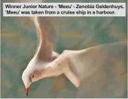  ??  ?? Winner Junior Nature - ‘Meeu’ - Zenobia Geldenhuys. ‘Meeu’ was taken from a cruise ship in a harbour.