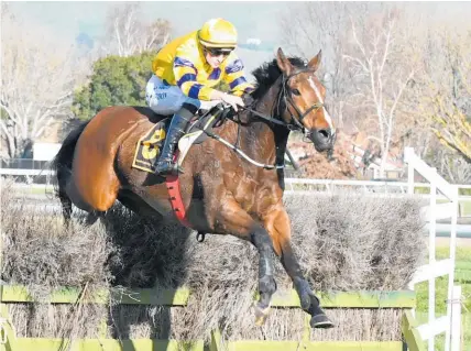  ?? Photo / Race Images ?? Justa Charlie and Will Gordon in front in the Hawke’s Bay Steeples yesterday.