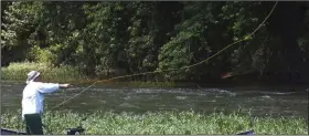  ?? (Arkansas Democrat-Gazette/Bryan Hendricks) ?? Rusty Pruitt casts a fly in a rapid Sunday on the Caddo River between Caddo Gap and Glenwood.