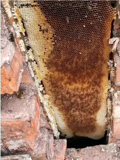  ?? ?? The honey filled chimney stack at the Salvation Army property in Oldbury