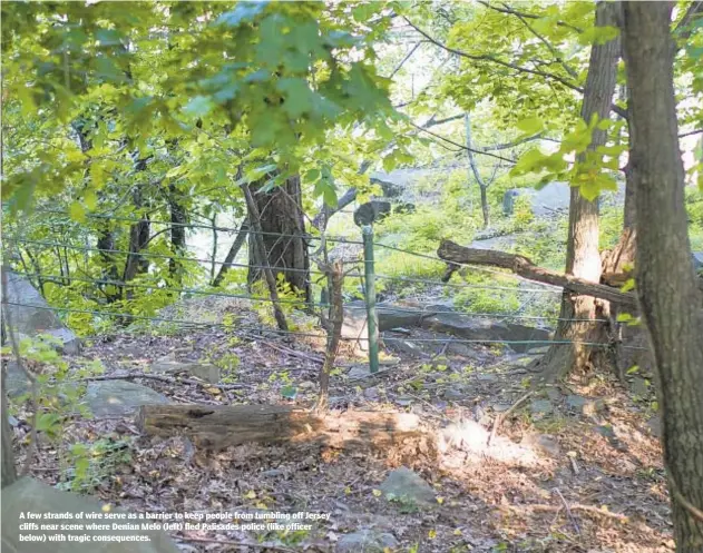  ?? GREGG VIGLIOTTI ?? A few strands of wire serve as a barrier to keep people from tumbling off Jersey cliffs near scene where Denian Melo (left) fled Palisades police (like officer below) with tragic consequenc­es.