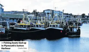  ?? Charlie Elder ?? > Fishing boats tied up in Plymouth’s Sutton Harbour